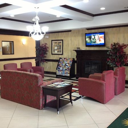 La Quinta Inn And Suites Joshua Dış mekan fotoğraf